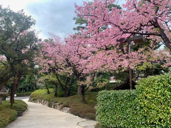 2023年3月2日八芳園